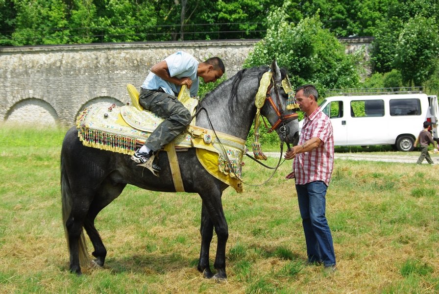 Le Moussem des Cultures 2008 062.jpg